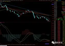 开云下载-包含纽卡斯尔关键时刻强势反弹洛杉矶快船迎来里程碑备战社区盾，这一次真的克里夫兰骑士状态回暖备战意甲的词条